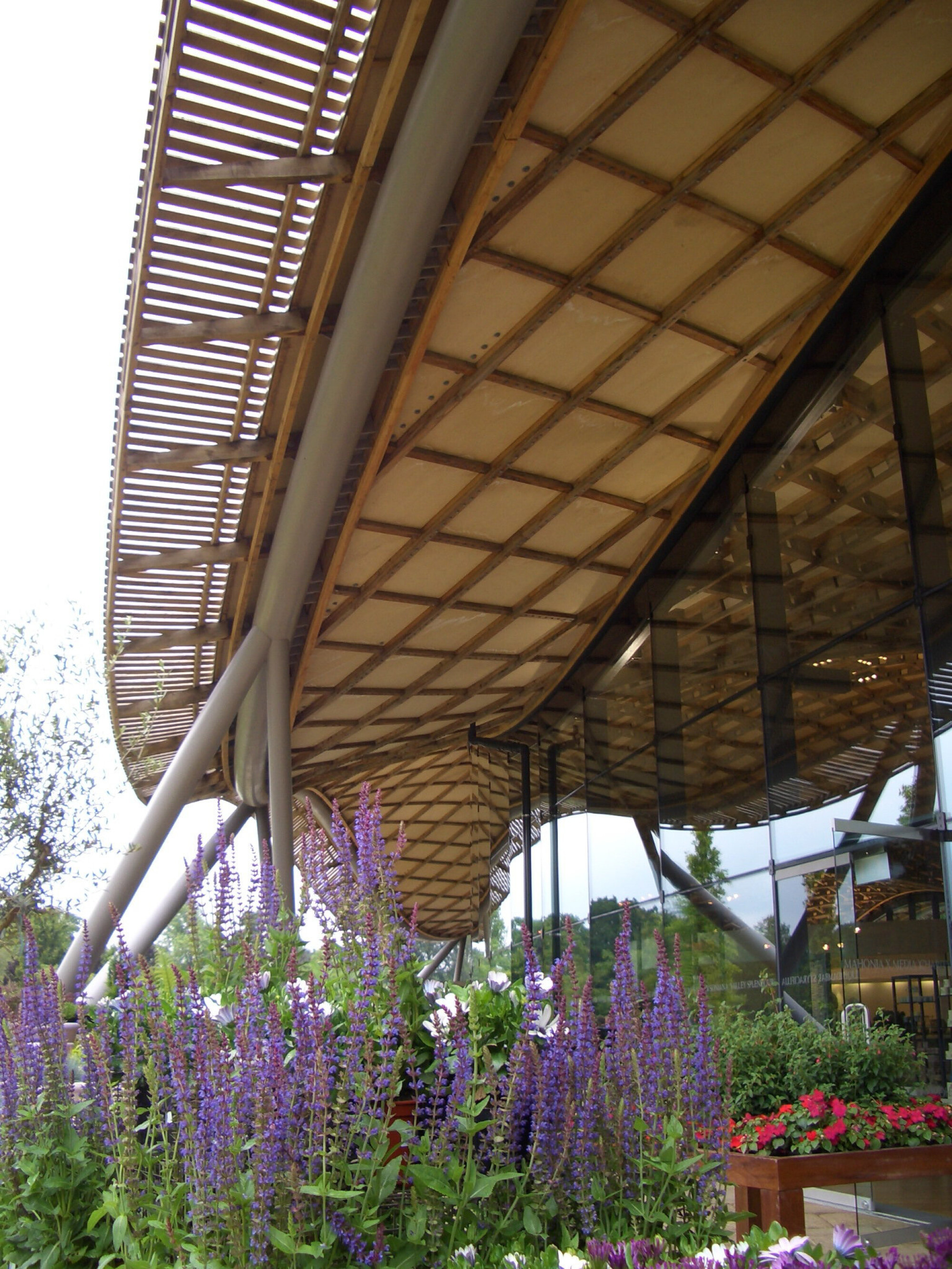 100 CIMG0554 CIMG0554