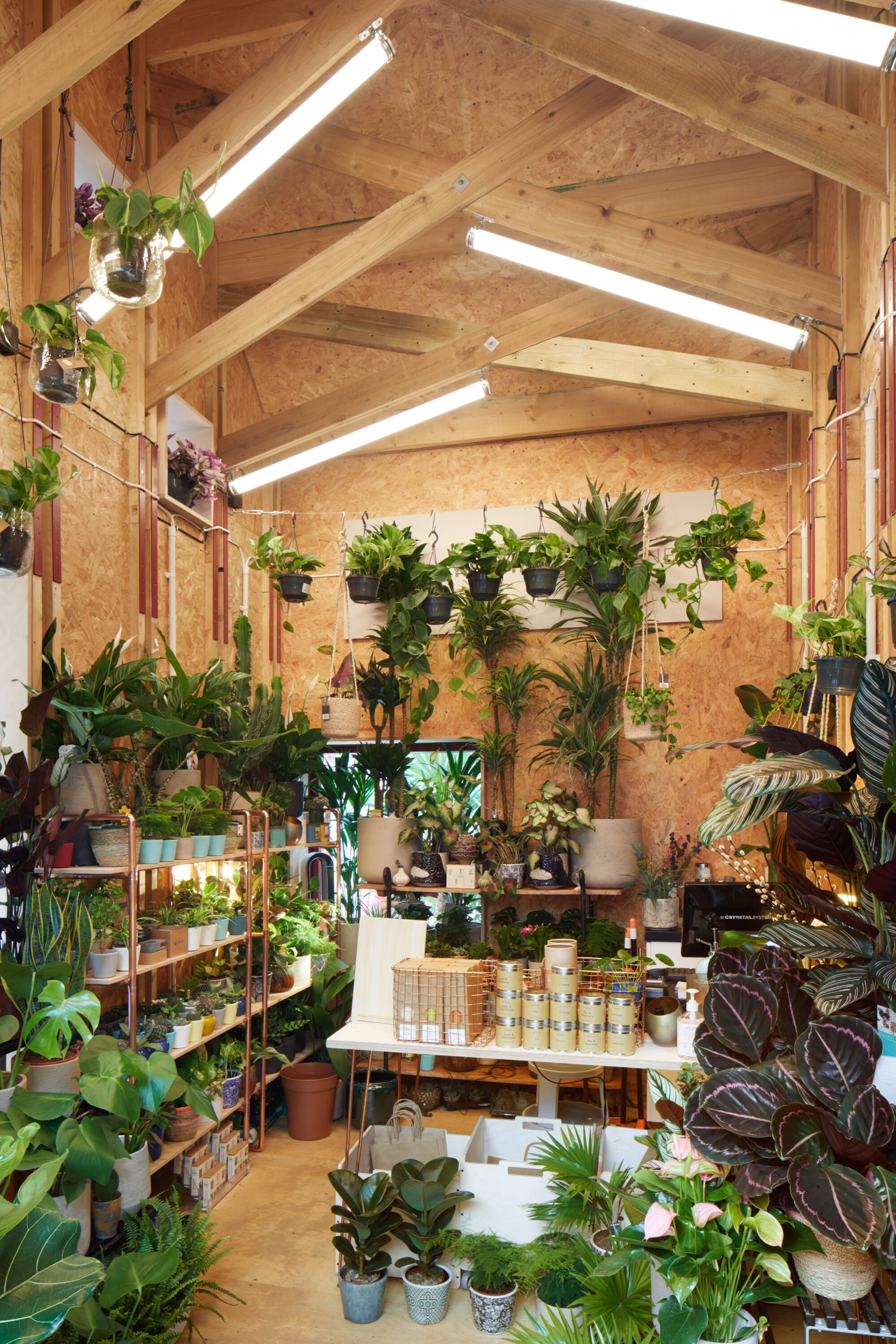 200901 BDLandscape SayerSt 022