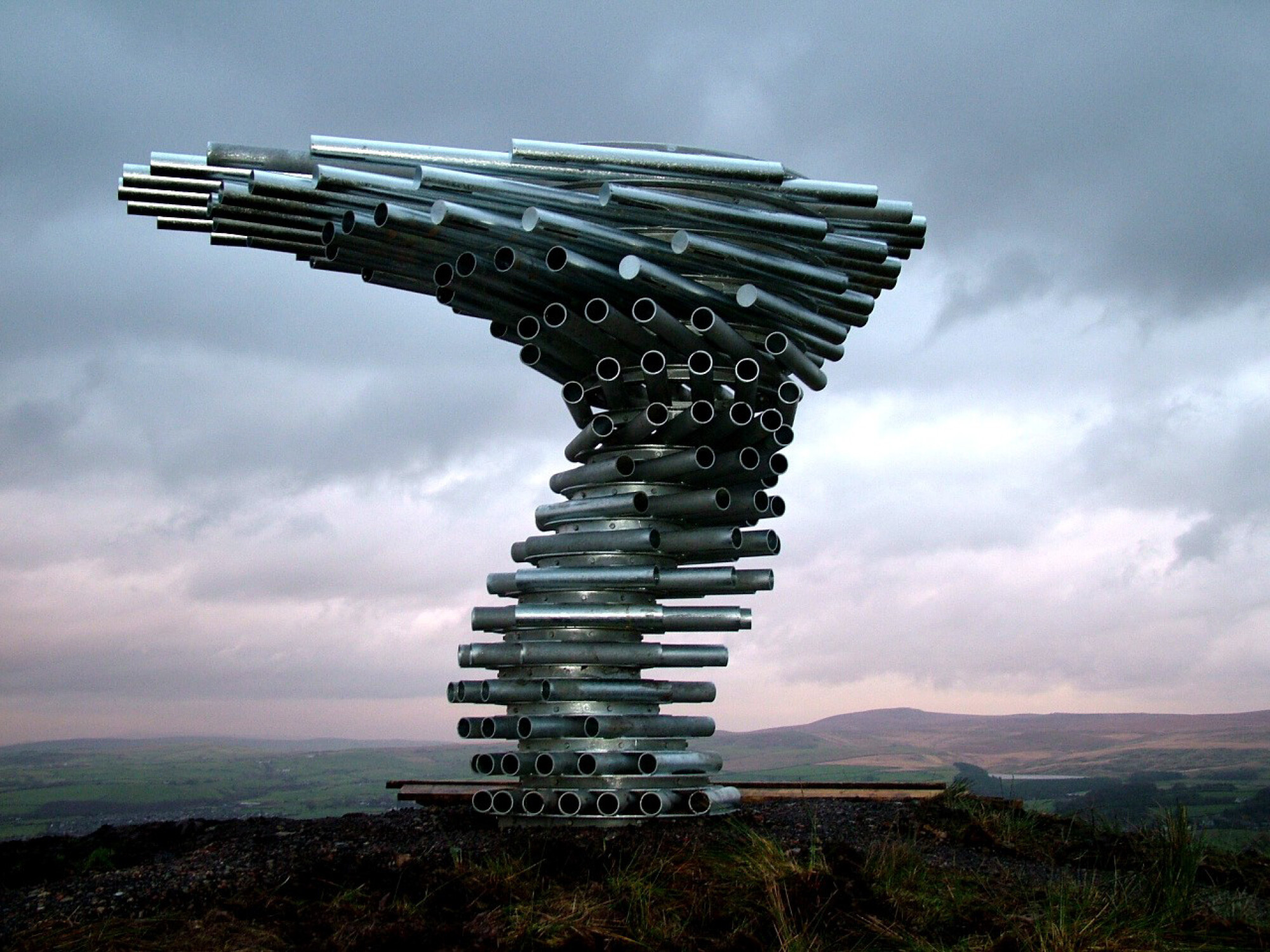 ringing tree