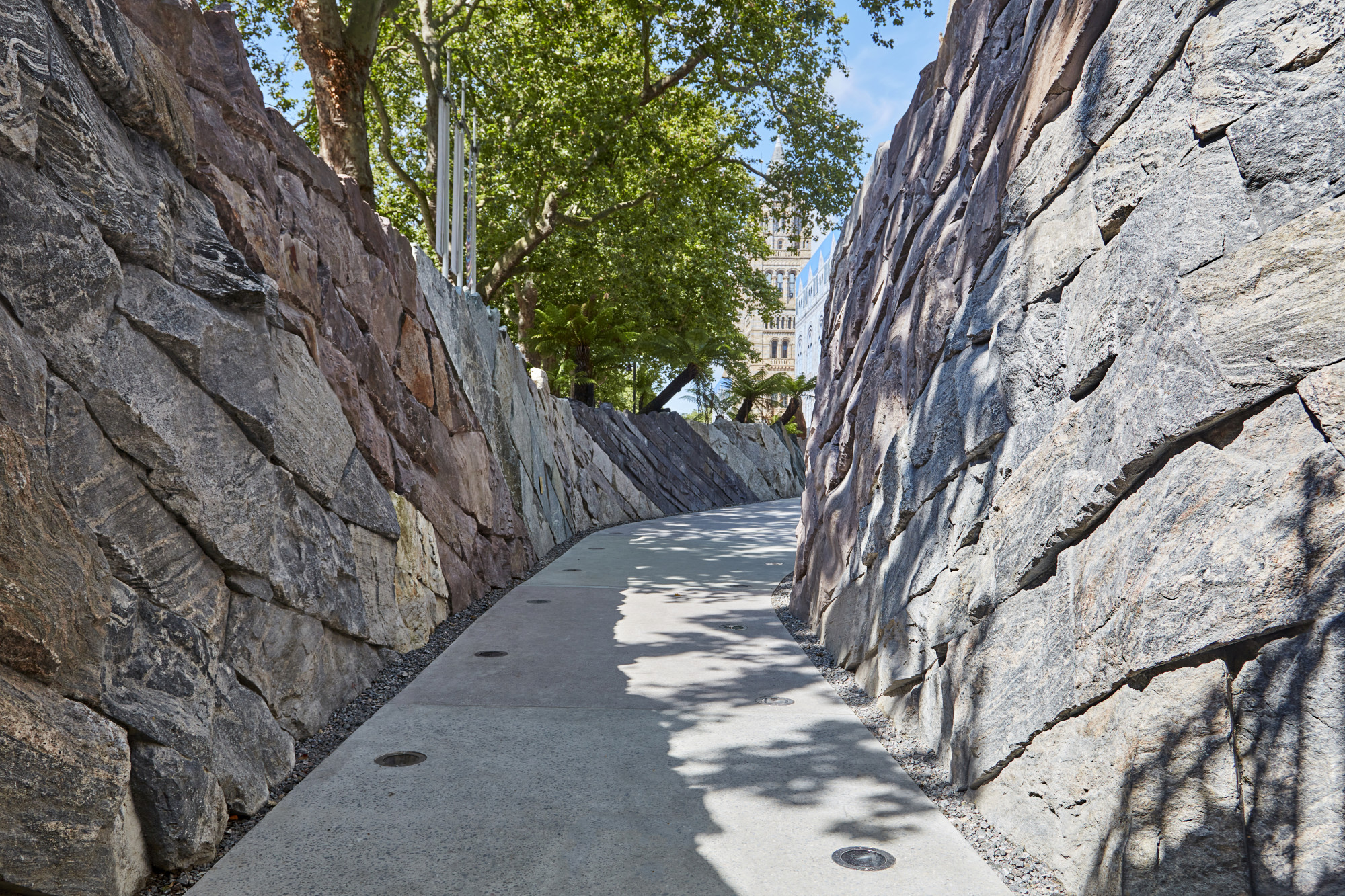 Evolution Timeline rock canyon 2 The Trustees of the Natural History Museum London